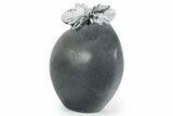 Polished Free-Standing Chrysanthemum Stone - China #352119-1